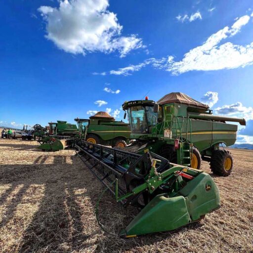 CABRAL Agropecuária - Cocalzinho de Goiás/GO - Foto 01