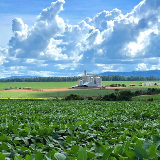 CABRAL Agropecuária - Cocalzinho de Goiás/GO - Foto 05