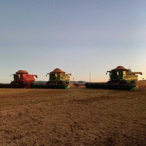 CABRAL Agropecuária - Cocalzinho de Goiás/GO - Foto 08