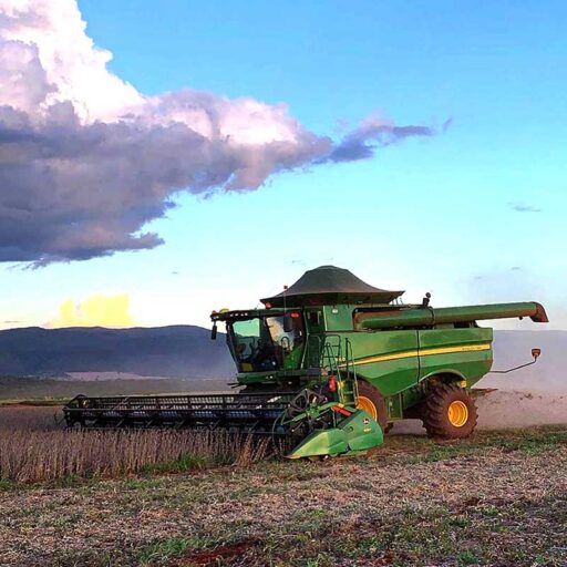 CABRAL Agropecuária - Cocalzinho de Goiás/GO - Foto 09