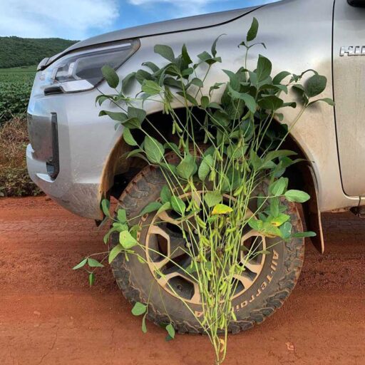 CABRAL Agropecuária - Cocalzinho de Goiás/GO - Foto 10