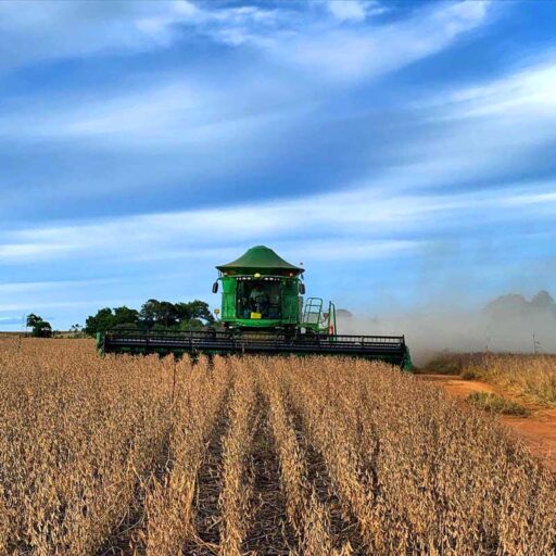 CABRAL Agropecuária - Cocalzinho de Goiás/GO - Foto 11